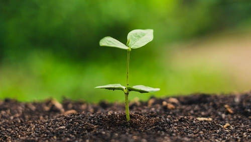 Son şirket haberleri Avustralya Uyarıyor: Yanıltıcı kompozisyonlu Etiketler Büyük Plastik Kirliliğine Neden Oldu