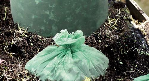 Son şirket haberleri Kompozite Olan Plastik Torbalar Biyolojik Olarak Bozulabilir mi?